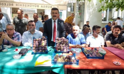 İYİ Parti Bursa'da incir üreticisinin sesi oldu